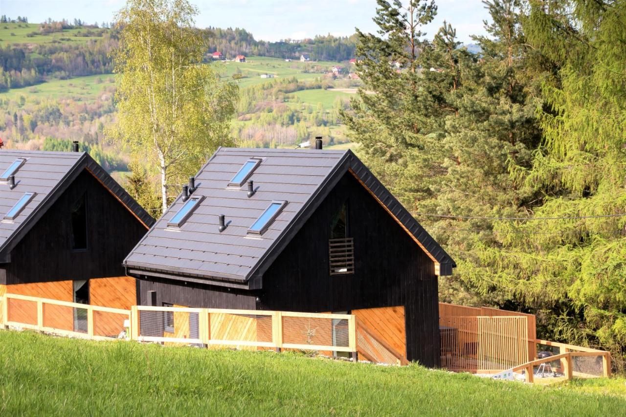 Projekt Swit - Domki Z Prywatna Jacuzzi I Sauna Zywiec Ngoại thất bức ảnh